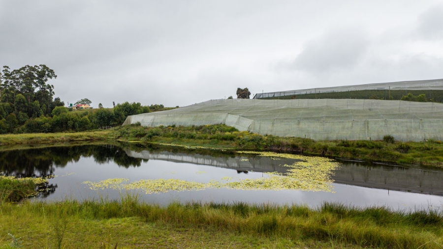 Commercial Property for Sale in Sedgefield Rural Western Cape